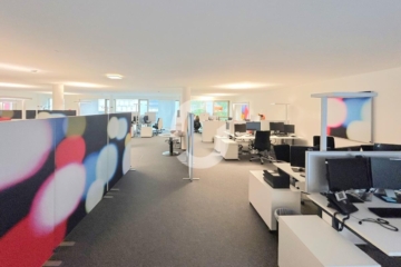 Moderne Bürofläche direkt am Marktplatz - Innenansicht (77450)