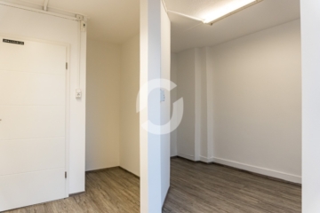 Großzügige Wohnfläche – ideal für Wohngemeinschaften - Impression (91132)