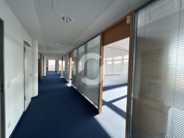9. OG – einmaliger Ausblick - Bild (84997)