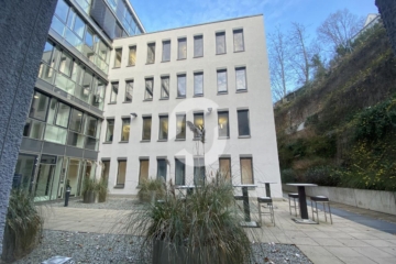 Exklusive und hochwertig ausgestattete Büroflächen - image00036 (77996)
