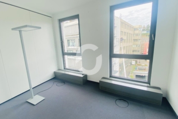 Bürofläche in altem Industriegebäude - Innenansicht (76244)