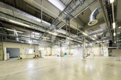 Halle 1.126 m² mit 4 ebenerdigen Toren – auch kurzfristig, Denkendorf - Impression (98556)