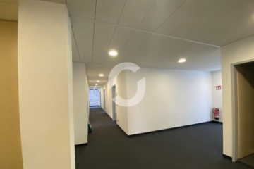 Hochwertige Büroflächen in exklusiver Halbhöhenlage - image00005 (78002)