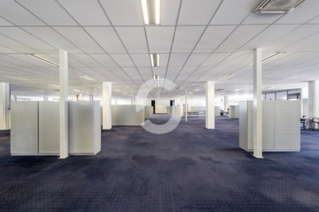 The BASE19. – Ihr Innovationshub mit flexiblen Flächen für moderne Unternehmen - Bürofläche (87443)