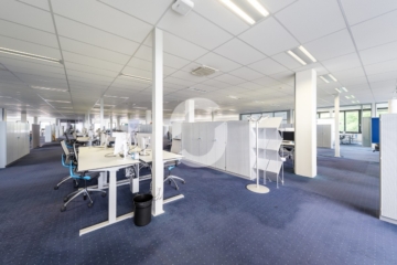 The BASE19. – Ihr Innovationshub mit flexiblen Flächen für moderne Unternehmen - Bürofläche (87444)