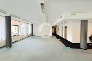 Hochwertige Büroflächen im „Haus des Bauens“ - Bürofläche (77634)