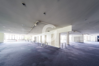 The BASE19. – Ihr Innovationshub mit flexiblen Flächen für moderne Unternehmen - Impression (98577)