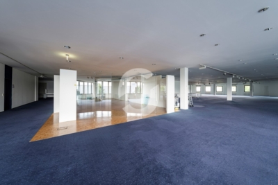 Showroom 1.724 m² mit Rundfassade – ebenerdig, Denkendorf bei Stuttgart, ab sofort - Impression (98518)