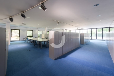 Showroom 1.724 m² mit Rundfassade – ebenerdig, Denkendorf bei Stuttgart, ab sofort - Impression (98515)