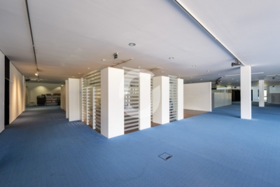 Showroom 1.724 m² mit Rundfassade – ebenerdig, Denkendorf bei Stuttgart, ab sofort - Impression (98510)