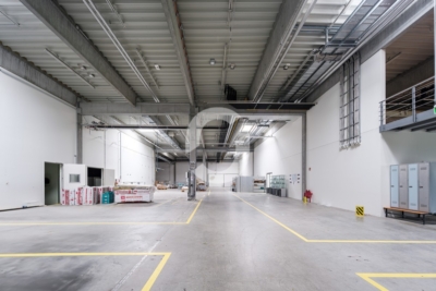Produktions- und Lagerhalle 1.963 m² – 1,5 t/m², Denkendorf, ab sofort frei - Impression (98550)