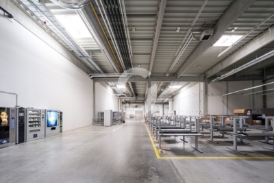 Produktions- und Lagerhalle 1.963 m² – 1,5 t/m², Denkendorf, ab sofort frei - Impression (98548)