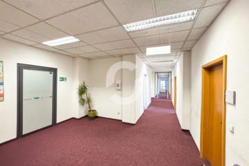 Flexibel nutzbare Büroeinheit in Kaiserbau Göppingen - Eingangsbereich (90897)