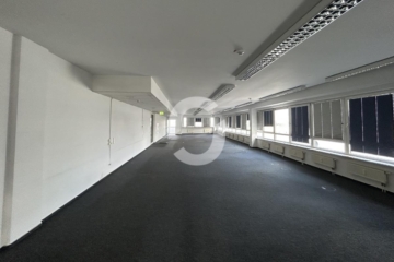 Arbeiten wo andere abheben - Bild (96466)