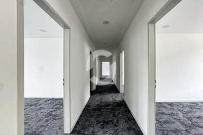 Neu saniertes Büro ca. 230 m² in Stuttgart-Wangen – Aufzug & Klimaanlage - Flur (99244)