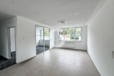Neu saniertes Büro ca. 230 m² in Stuttgart-Wangen – Aufzug & Klimaanlage - Eingangs-/Empfangsbereich (99247)