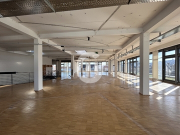 LOFT über den Dächern am Feuersee mit Terrasse - Bild (86052)