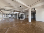 Bild - LOFT über den Dächern am Feuersee mit Terrasse