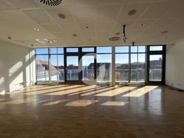 LOFT über den Dächern am Feuersee mit Terrasse - Bild (86050)