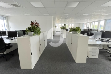 Helle Großraumbüros! Teilbar ab 190 m² - Bild (89428)