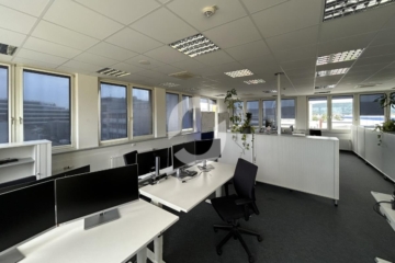 Helle Großraumbüros! Teilbar ab 190 m² - Bild (89631)