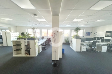 Repräsentative Büroflächen in Leonberg – Effizienz trifft Eleganz - Büro (87762)