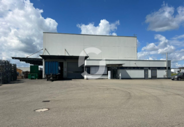 Lager-/ Produktionsimmobilie nahe der B27, 72379 Hechingen, Halle