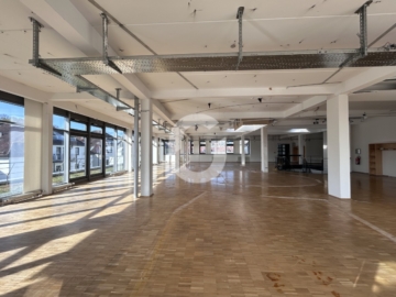 Exklusive Maisonette-Fläche mit Loftcharakter und Terrasse - Bild (83815)