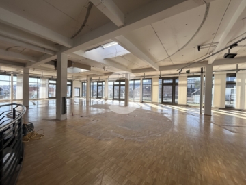 Exklusive Maisonette-Fläche mit Loftcharakter und Terrasse - Bild (83818)