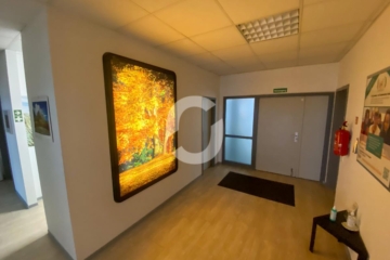 Funktionale Büroflächen in zentraler Lage - image00004 (74336)