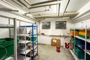 Helle & flexibel nutzbare Ladenfläche in Kaiserbau Göppingen - Lagerfläche im UG (90971)