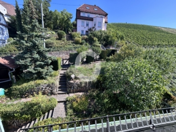 Mehrfamilienhaus mit Leerstand in guter Lage von Stuttgart-Untertürkheim zum Erwerb - Garten (92361)