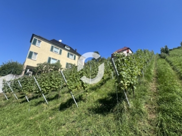 Mehrfamilienhaus mit Leerstand in guter Lage von Stuttgart-Untertürkheim zum Erwerb - Seitenansicht (94026)