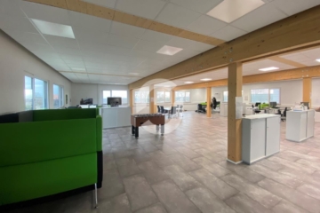 Bürofläche mit Blick ins Grüne - Imp 2 (82048)