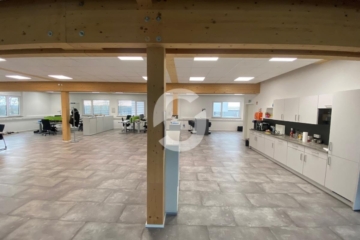 Bürofläche mit Blick ins Grüne - Imp 4 (82050)