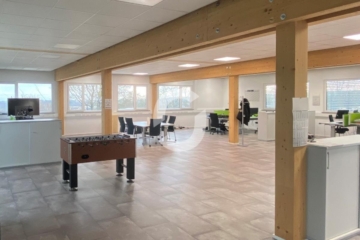 Bürofläche mit Blick ins Grüne - Imp 6 (82052)