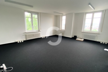 Stilvoll arbeiten: Historisches Objekt, moderne Bürofläche, Ausblick & zentraler Lage - Büro (84799)