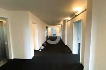 Stilvoll arbeiten: Historisches Objekt, moderne Bürofläche, Ausblick & zentraler Lage - Flur (84808)