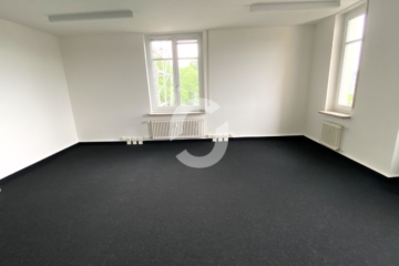 Stilvoll arbeiten: Historisches Objekt, moderne Bürofläche, Ausblick & zentraler Lage - Büro (84798)