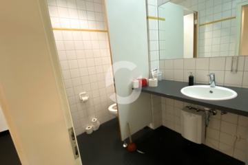 Stilvoll arbeiten: Historisches Objekt, moderne Bürofläche, Ausblick & zentraler Lage - WC (84803)