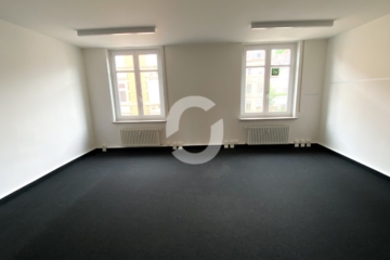 Stilvoll arbeiten: Historisches Objekt, moderne Bürofläche, Ausblick & zentraler Lage - Büro (84805)