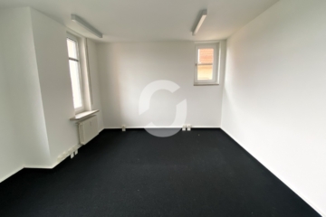 Stilvoll arbeiten: Historisches Objekt, moderne Bürofläche, Ausblick & zentraler Lage - Büro (84797)