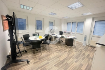 Exklusive Bürofläche in der Innenstadt - Büro (81004)