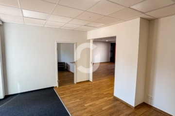 Büro – ab sofort verfügbar – 204 m² – Stellplätze inklusive - Innenansicht (87431)
