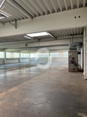 Lagerhalle mit Büro und optionaler Wohnung in Geislingen-Binsdorf zu vermieten - Halle (91485)
