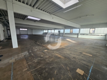 Lagerhalle mit Büro und optionaler Wohnung in Geislingen-Binsdorf zu vermieten - Halle (91286)