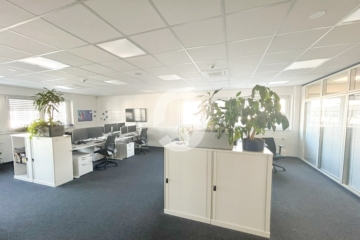 Repräsentative Büroflächen in Leonberg – Effizienz trifft Eleganz - Impression (88813)