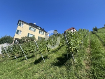 Mehrfamilienhaus mit Leerstand in guter Lage von Stuttgart-Untertürkheim zum Erwerb - Seitenansicht (94009)