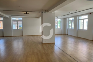 Bürogebäude in S-Mitte, Heusteigviertel, sehr zentral aber ruhig, Loftcharakter - Bild (89355)
