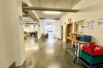 Flexible Gewerbefläche | Büro & Lager | Bahnhof | Bad Canstatt - Impression (95156)